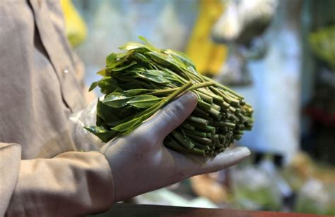 Le Défi du Qat: Qu'arrive-t-il quand une plante ancestrale rencontre la modernité ?